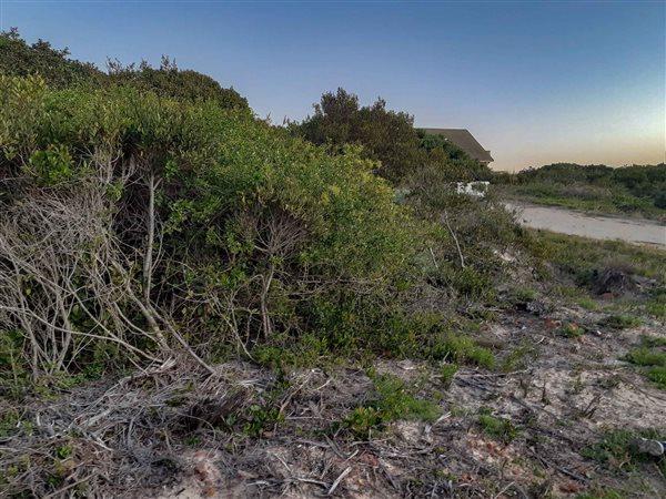 0 Bedroom Property for Sale in Paradise Beach Eastern Cape